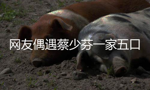 扮鬼网友家五儿子张晋脸逗蔡少口 开心芬一偶遇